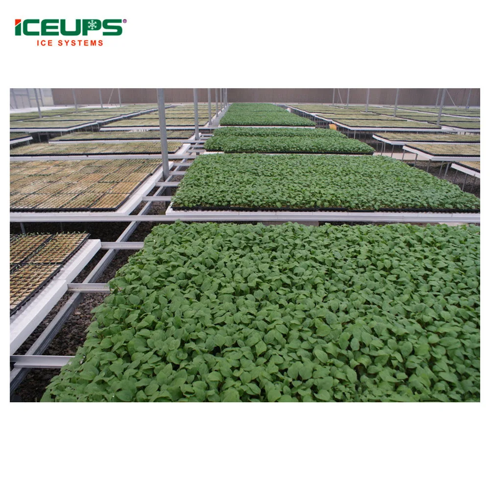 High quality Best price vacuum cooler machine for vegetable&fruit processing