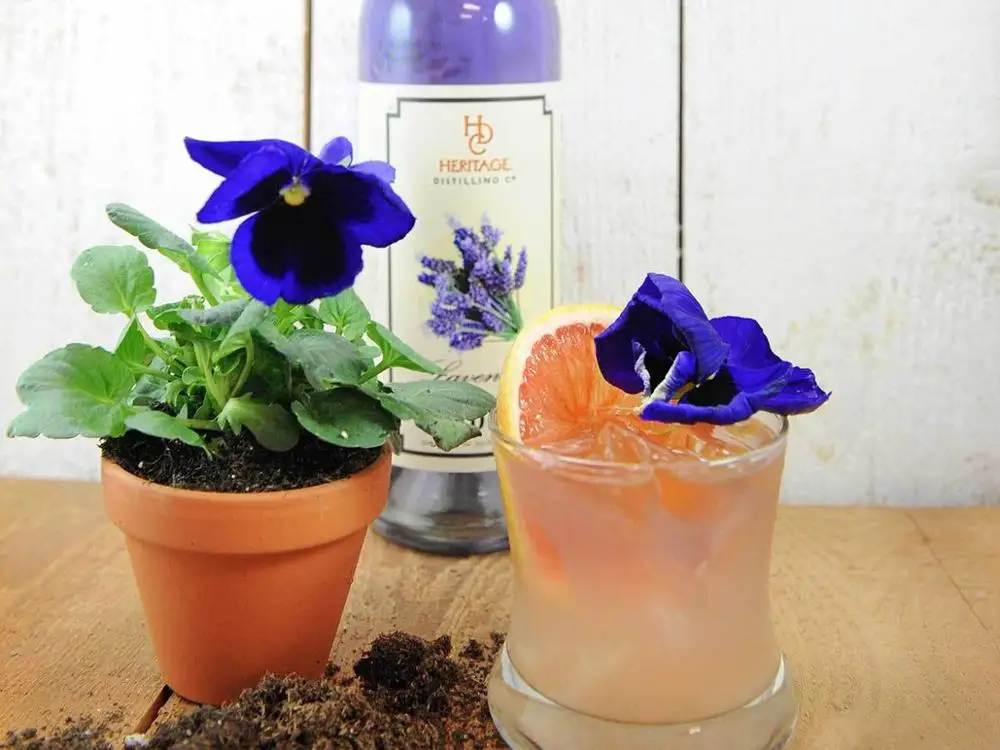 Hot sale  Wholesale Lavender liquor flavor Vodka