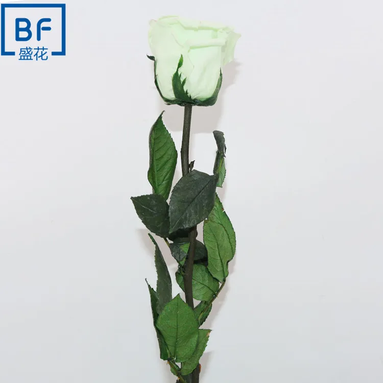 Long last real touch preserved stem rose flower wholesale fresh
