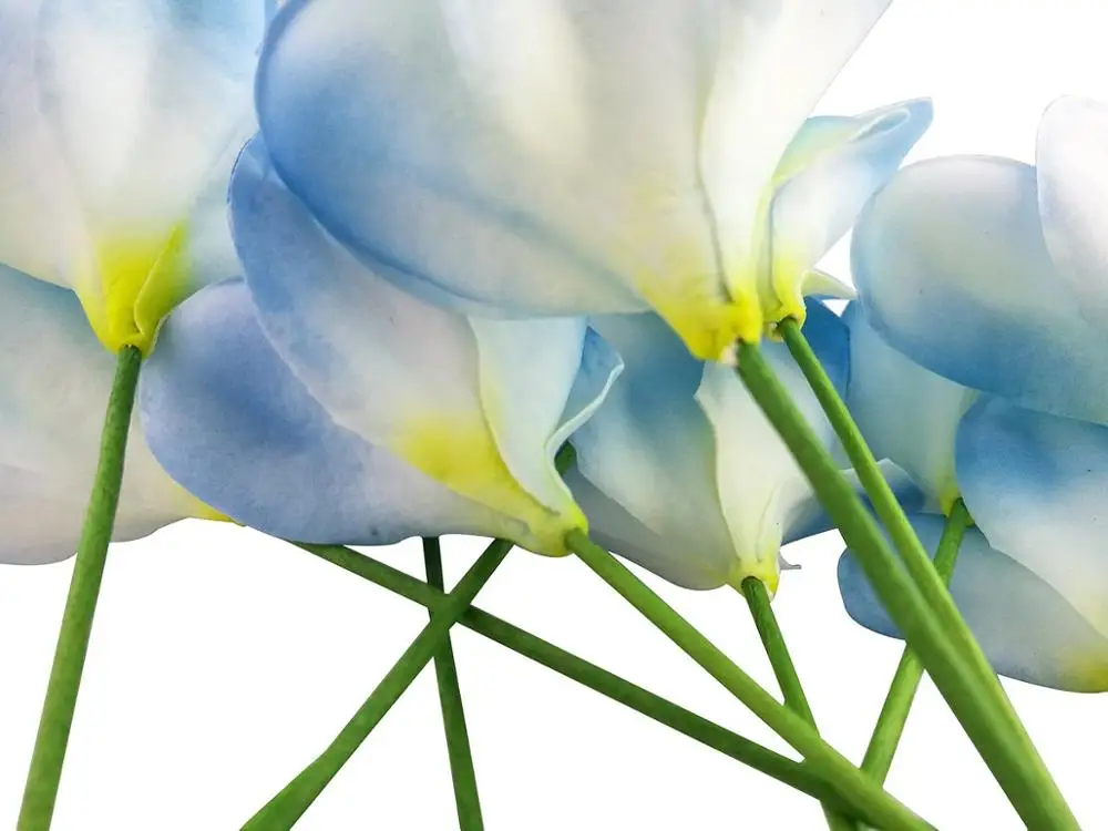 PU Real Touch Lifelike Artificial Plumeria Frangipani Flowers Bouquets Wedding Home Party Decoration