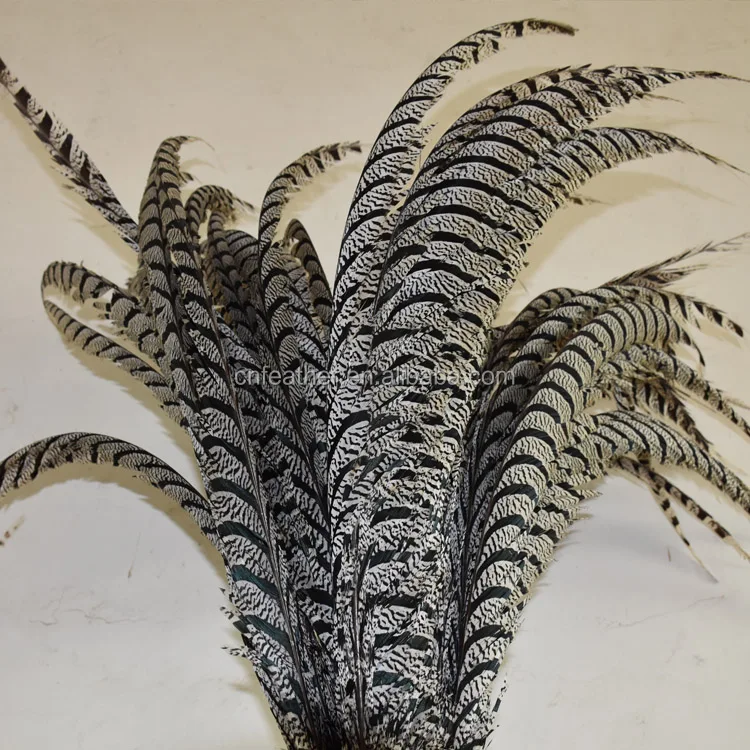 Оптовая 80-90 см Длинные Природный ЗЕБРА Леди Амхерст Фазан Перья Хвоста