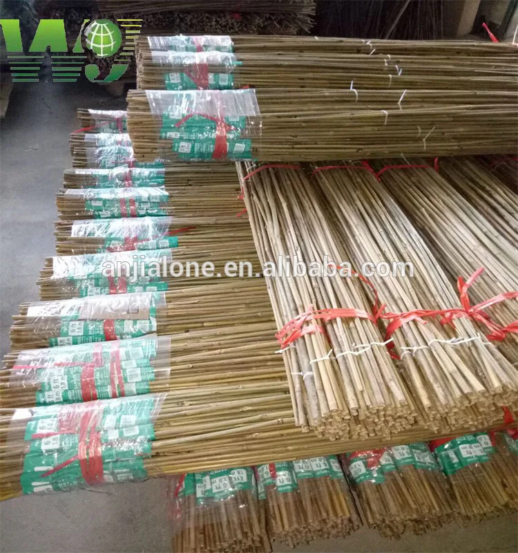 Tonkin  bamboo cane    moso bamboo Anti-mildew and insect-proof treatment