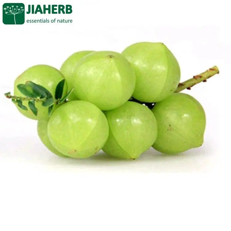 JIAHERB 18 Years 6 Factories Offer 100% Pure Natural Plant Extract	Amla Extract 50% Vitamin C HPLC	Phyllanthus emblica L