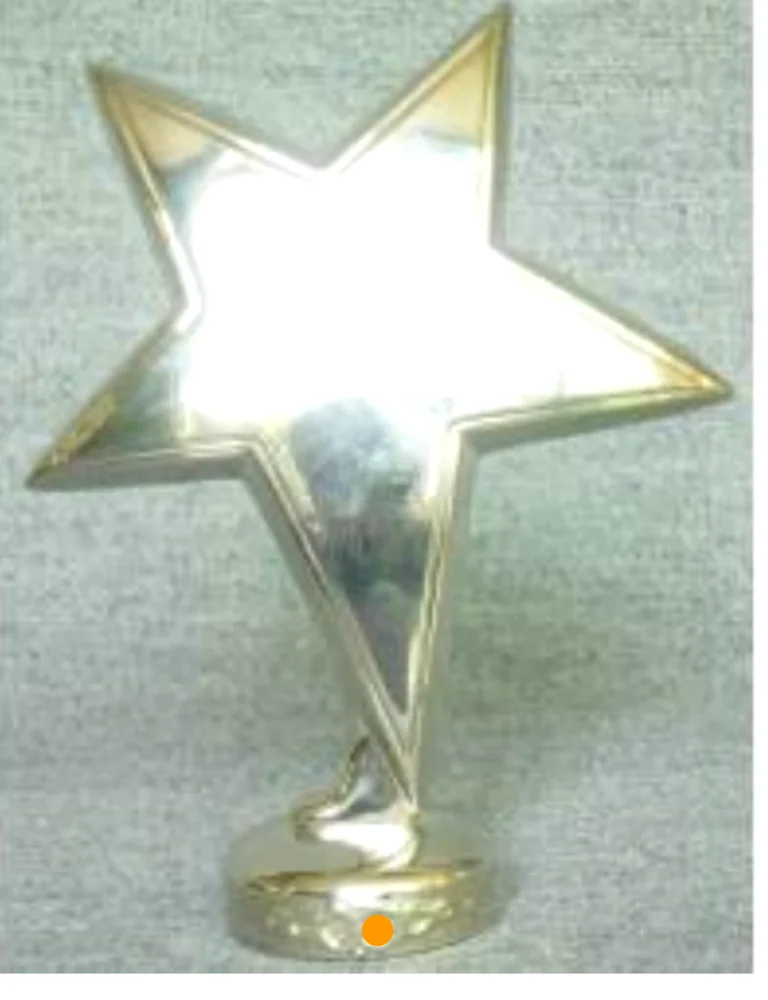 China low price high quality star shape custom gold metal trophy