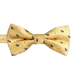 Wholesale high-grade polyester bow ties for man