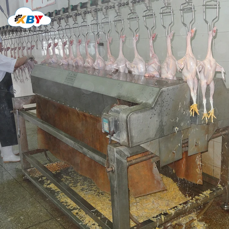Automatic chicken feet cutting  machine online for chicken feet production line/ poultry abattoir machine