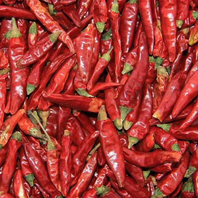 
Asian high yield vegetable plant red dry pepper chilli seeds 100g/bag 
