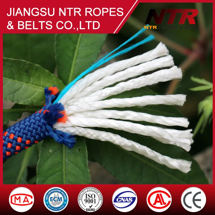 NTR Высокое elasticitypp Безопасности веревка