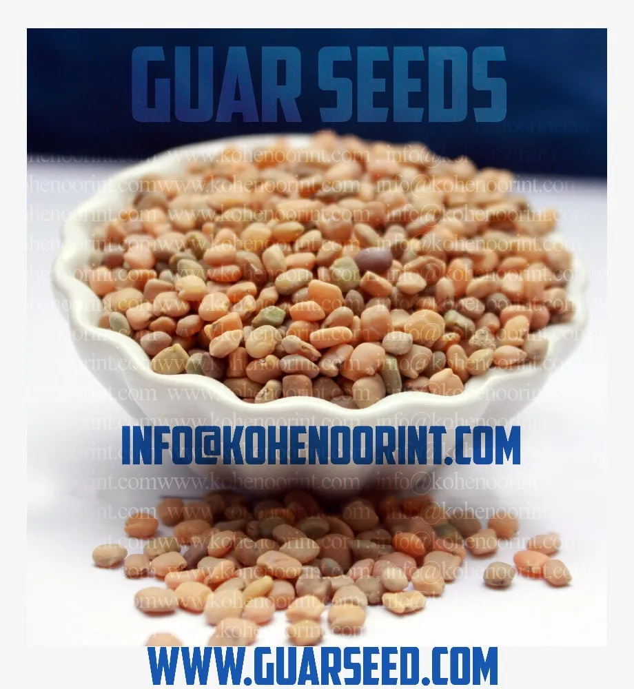 Guar Seeds / Guar Beans