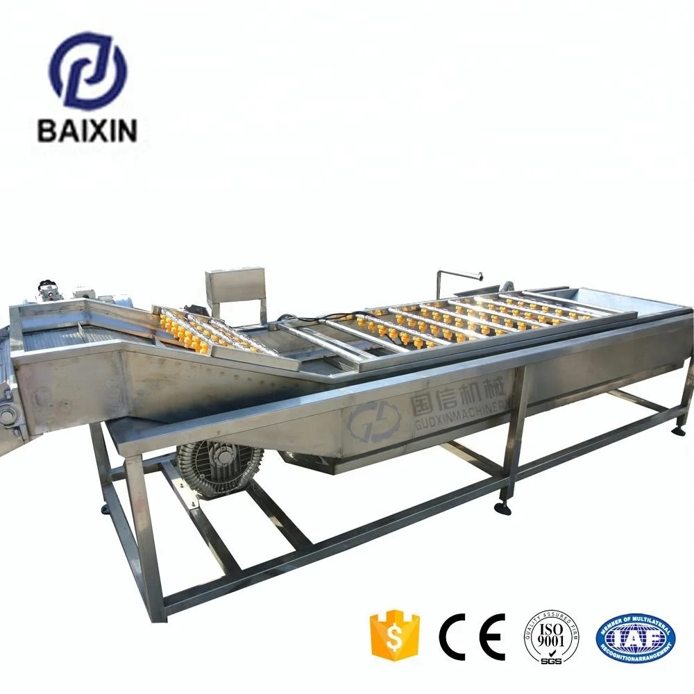 Best selling Plantain Fruit Slice Cutting Machine /lemon Slicer Peeling And Cleaning Peaches Mango Washing Ang for wholesale