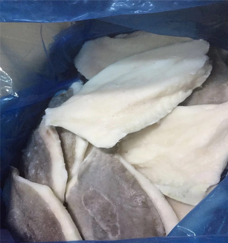 
Fresh frozen John dory fish fillet 
