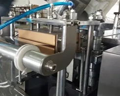 DPP-80 Automatic Blister Packaging Machine