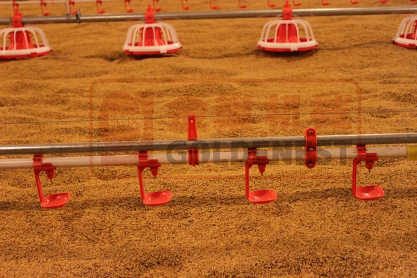 Автоматической подачи курица и пьяница системы для продажи