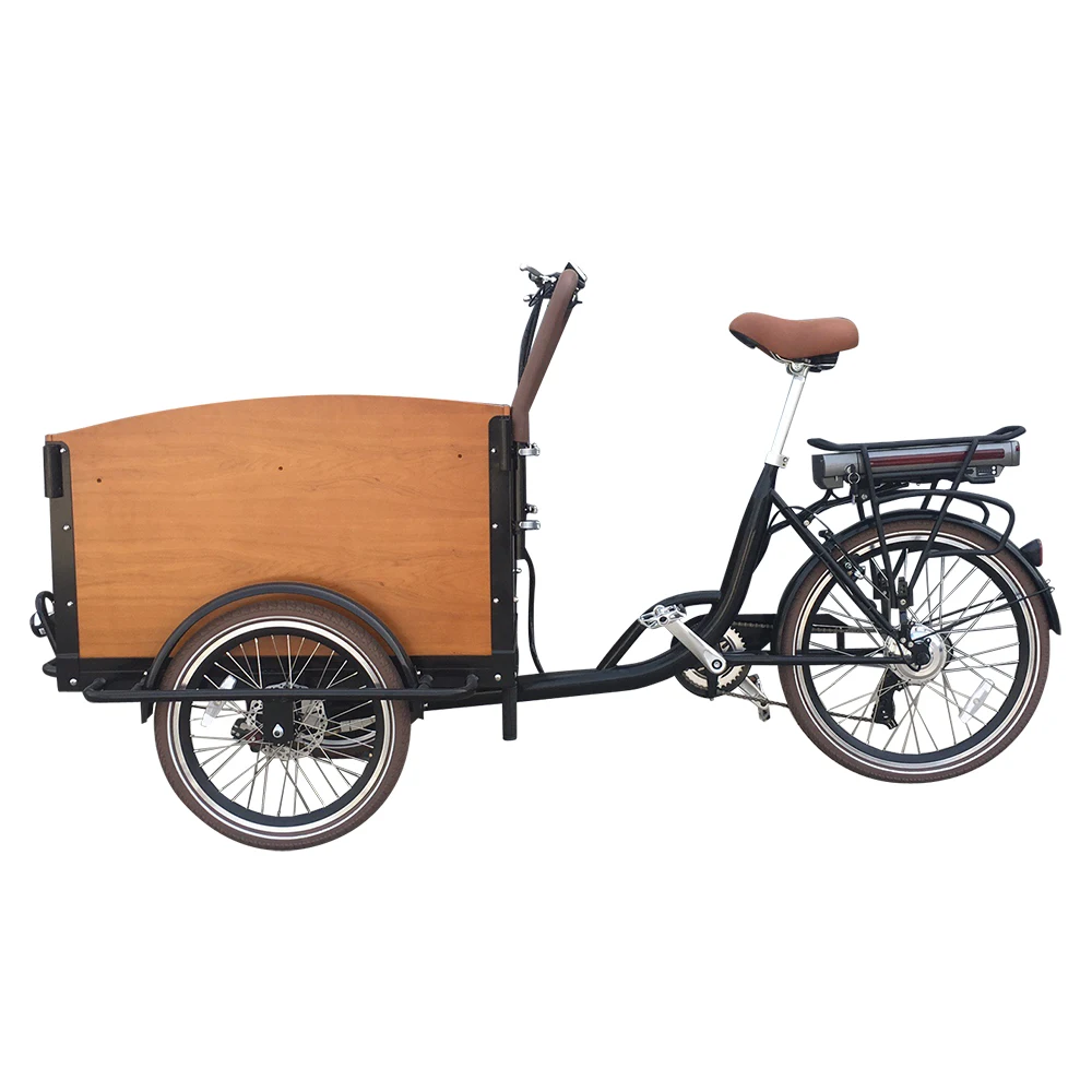 No Import Duty ZZMERCK 250w Pedal Assist Electric Tricyle Cheap Cargo Trike for Sale