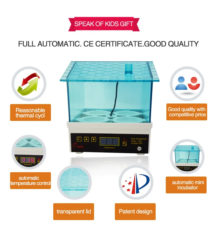 Snail Eggs For Sale Small Egg Incubator Price Hatcheries Eggs For Sale