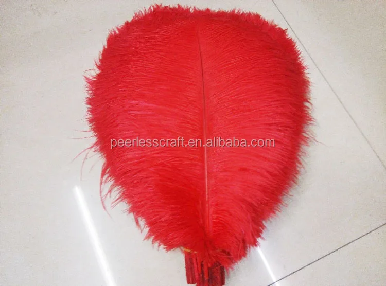 Оптовая Продажа Цветных больших страусиных перьев FC429