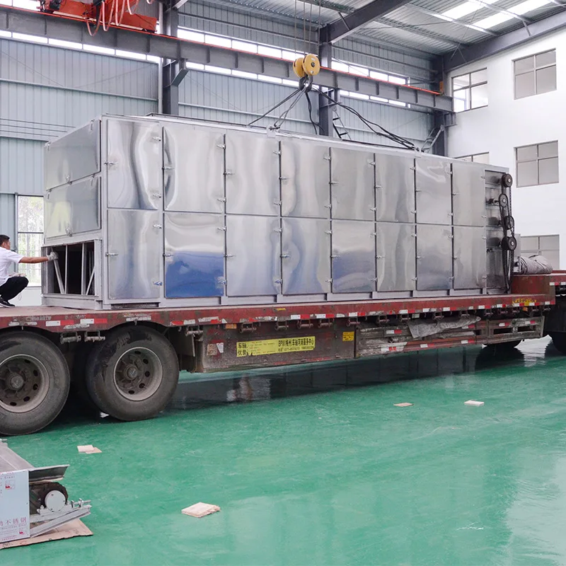 Carrot drying equipment garlic and ginger/onion dryer machine