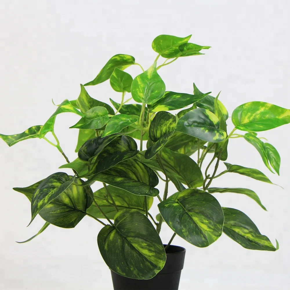 Most beautiful look real heart shaped artificial floor plants with pot