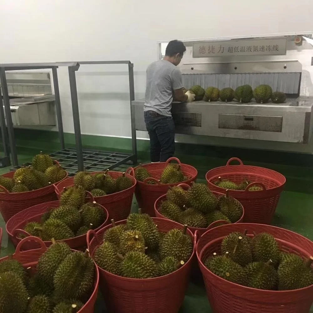 Промышленный непрерывный туннель DJL IQF, быстрая морозильная камера с высокой скоростью, морозильник с жидким азотом, дурийский туннельный морозильник