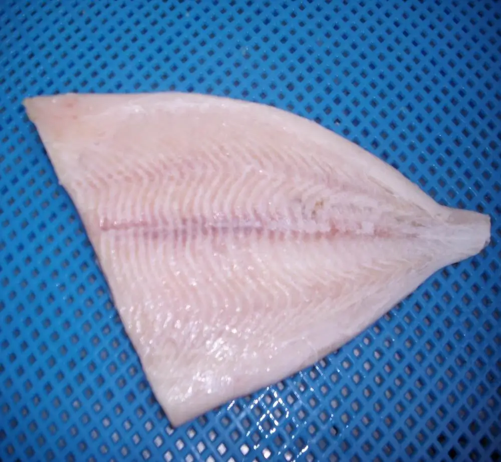 Frozen Brama brama fillet boneless (atlantic pomfret)