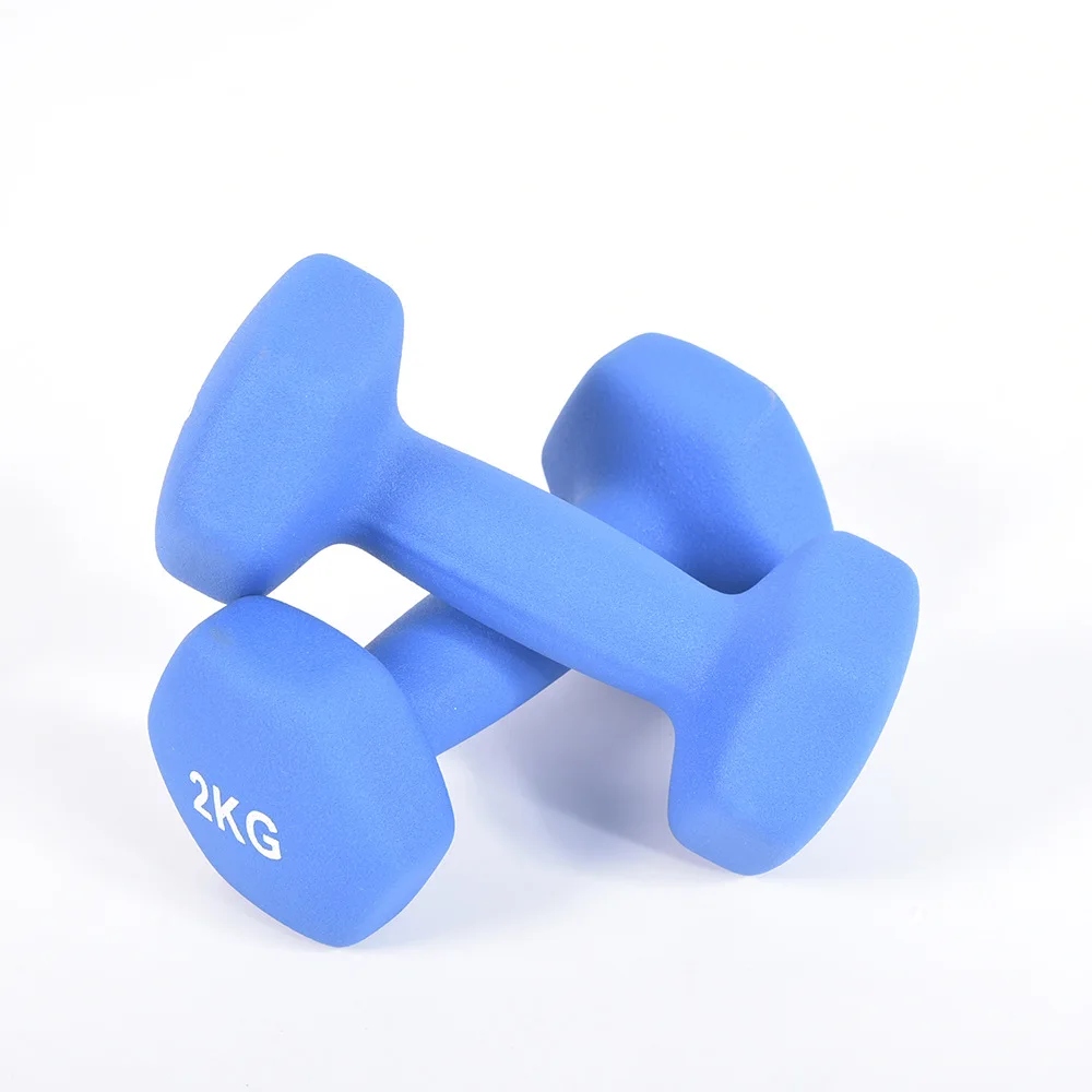 Wholesale Export Colorful Neoprene Coated Dumbbell yoga dumbbell for lady
