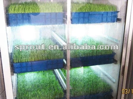 Hydroponic Fodder machine/seedling machine/wheat sprout machine