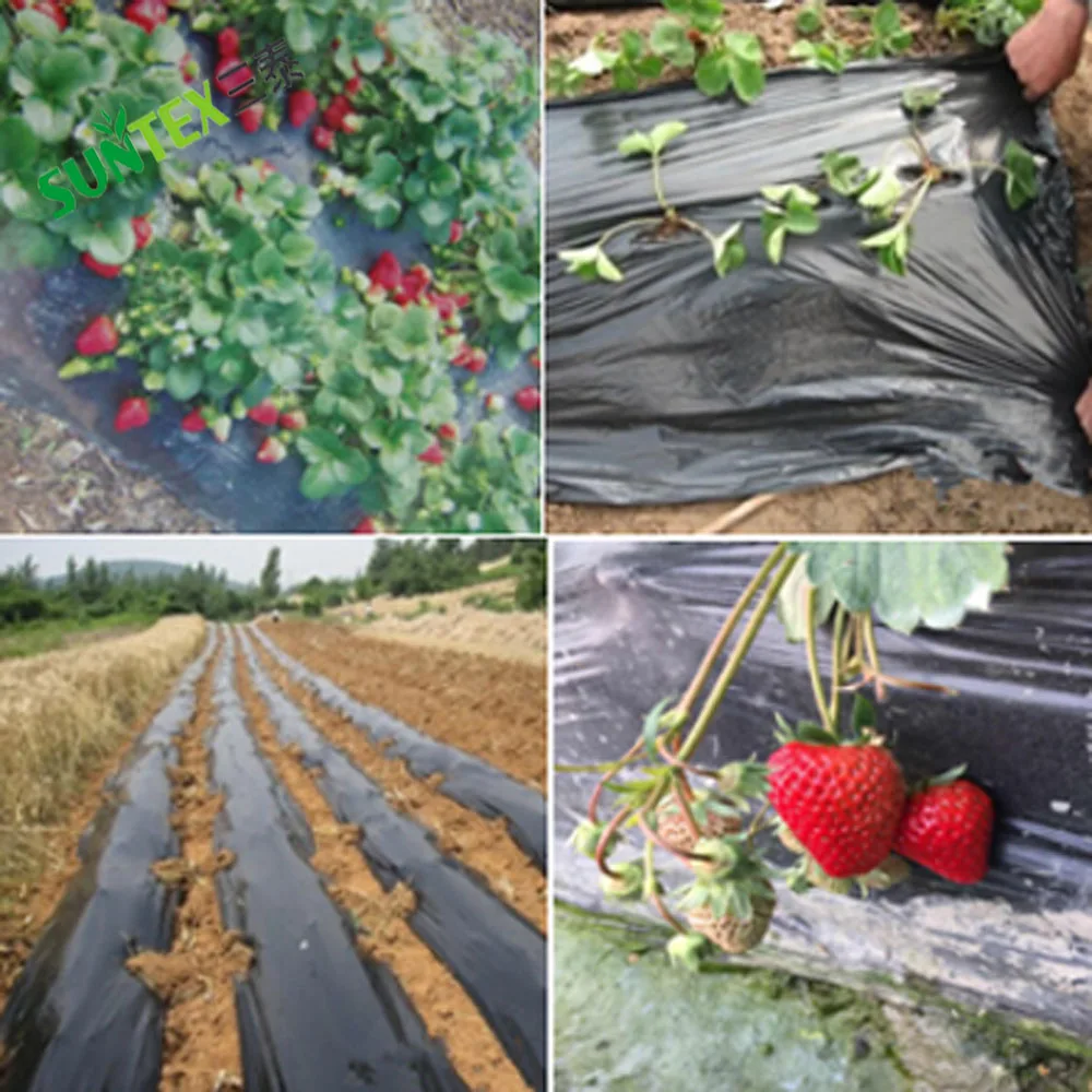 Crops Protection Agricultural Black Mulch Film, 25 Micron 30 Micron Potato Strawberry Ground Cover Poly Film