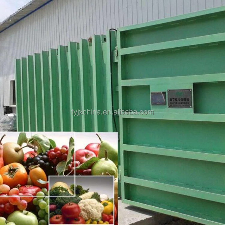 Vacuum pre cooling machine for fruits and vegetables