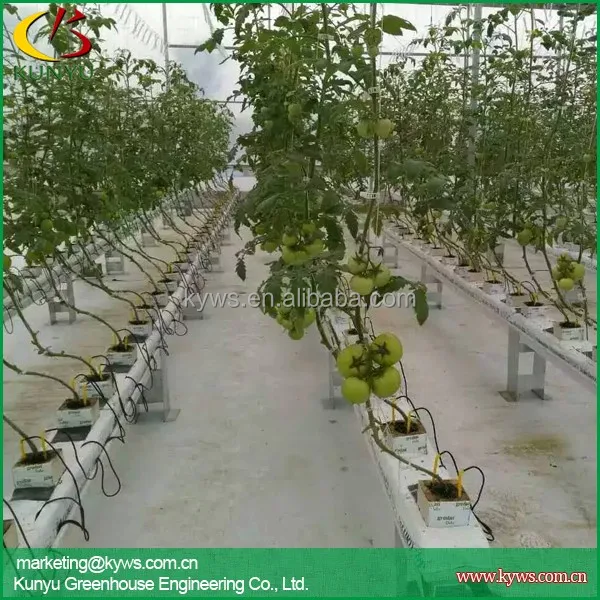 Hydroponic gutter for strawberry tomato pepper hydroponic trough for greenhouse