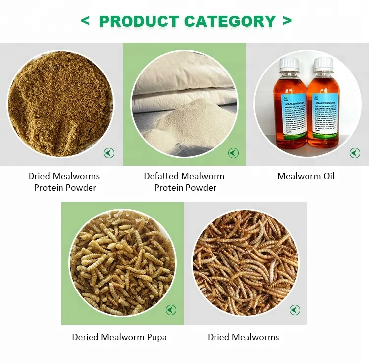 
Dried Mealworms For Poultry Feed Insect Feed Fish Use Mealworms Feed 