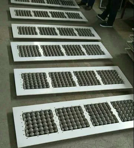 Egg Carton Molds Aluminum Egg Tray Molds Plastic Box Vehicle Mould Plastic Trays Making Machine Plastic Cnc Mould Machinery