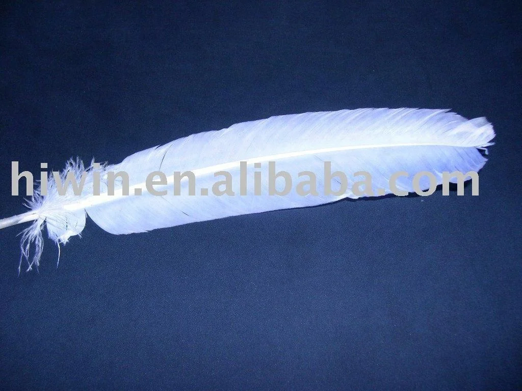 Turkey Feather Wings with Black / brown tip