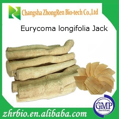 GMP Tongkat Ali Extract, Eurycomanone 1%-2% ,10:1  30:1    50:1   100:1