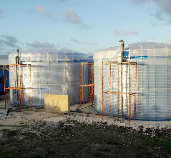 260m3 промышленного биогаза анаэробный реактор