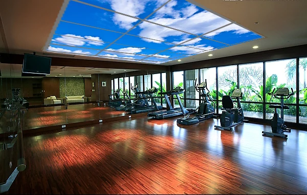 40W 595x595 Led Sky Ceiling Panel Light 60x60