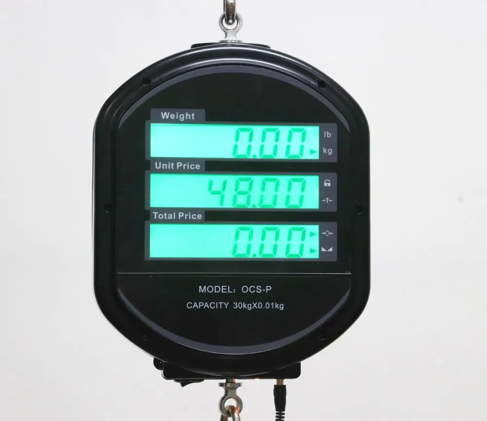 dual sides fish vegetable waterproof commercial high precision weigh 30kg hanging digital electronic price scale with controller