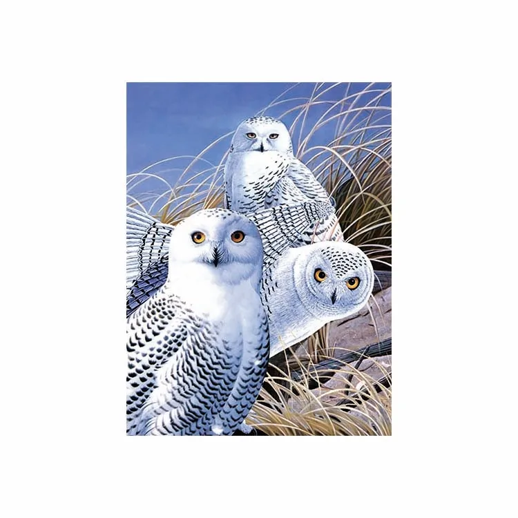 
High definition 3D lenticular picture printing cute owl picture for best price ready to ship 