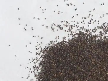 Natural new mixed Red Poppy Flowers Papaver rhoeas seeds for sowing in garden or park