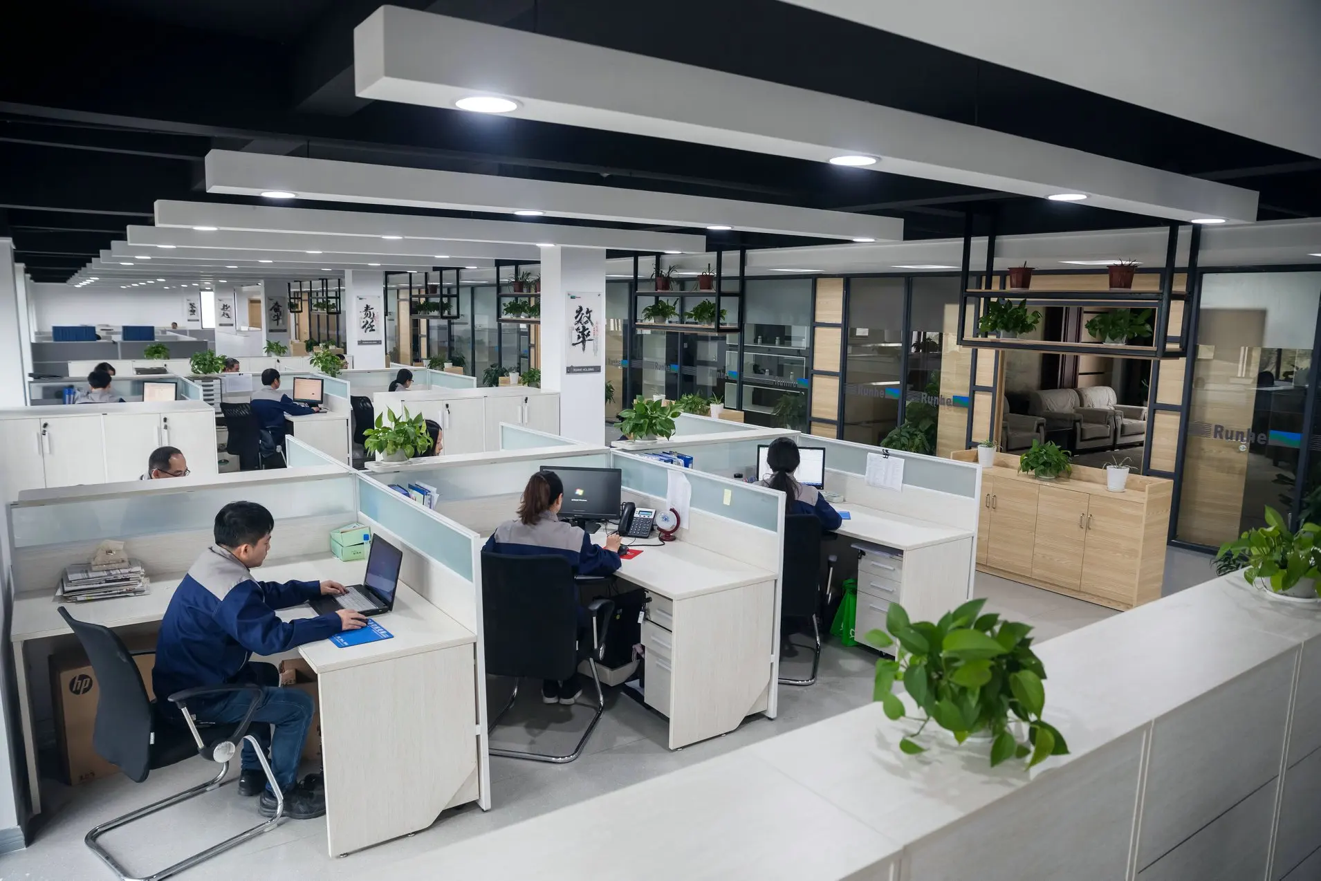 CETYL PEG/PPG-10/1 Dimethicone RH-C109(Cetyl Dimethicone Copolyol)