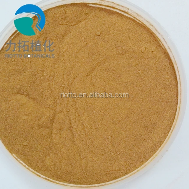 
Hot saling the Hawthorn berry extract /Hawthorn Extract /Hawthorn powder 