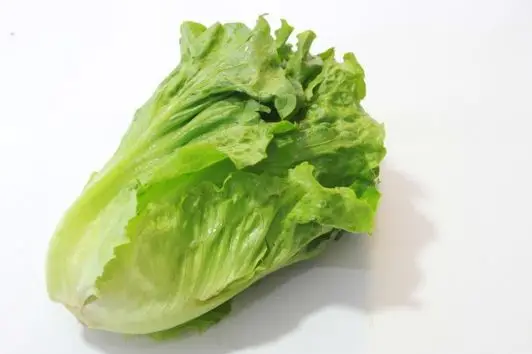 
Suntoday Hydroponics vegetable salad green romaine lettuce seeds 1kg/bag 