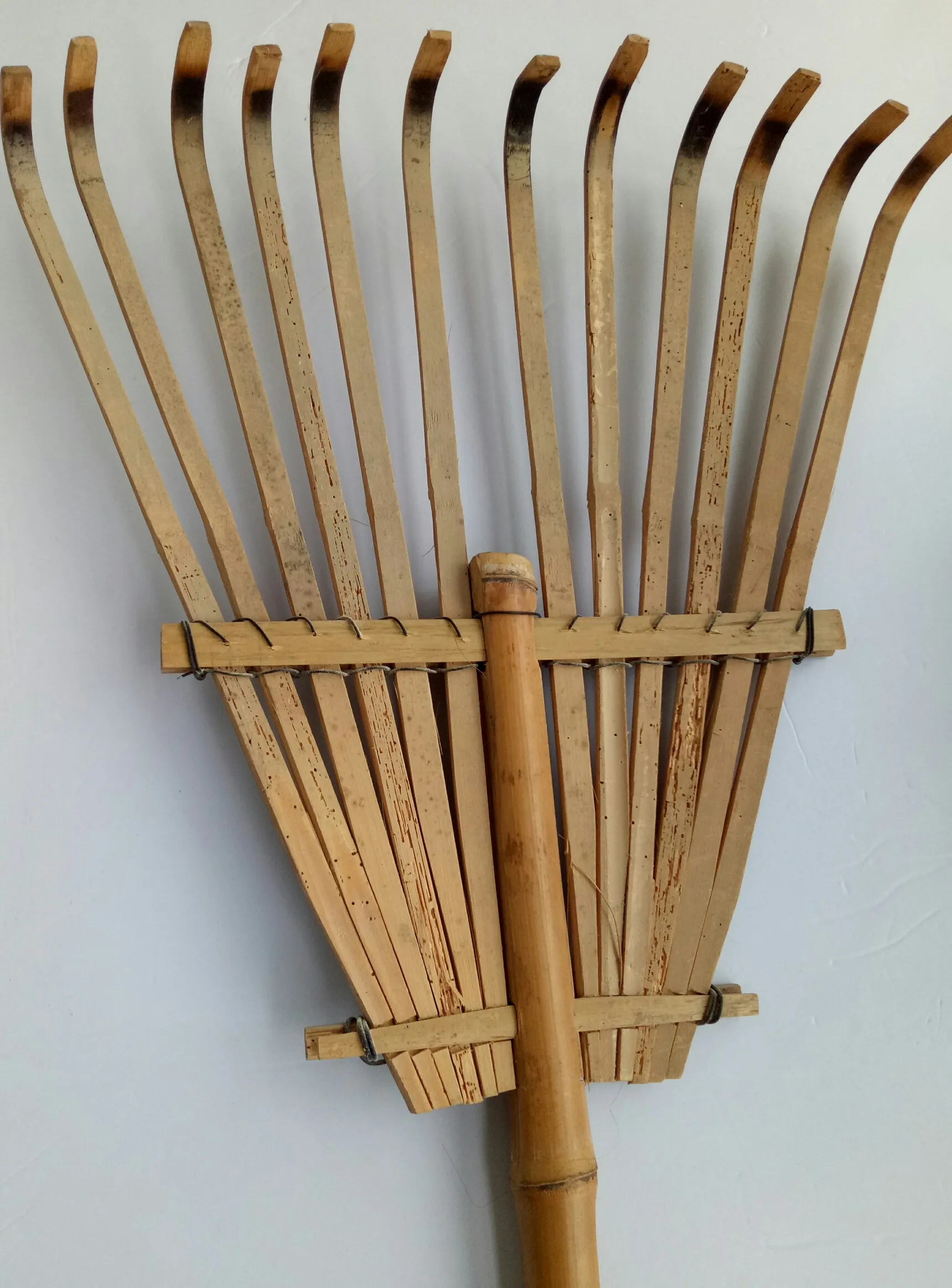 Raw bamboo rake