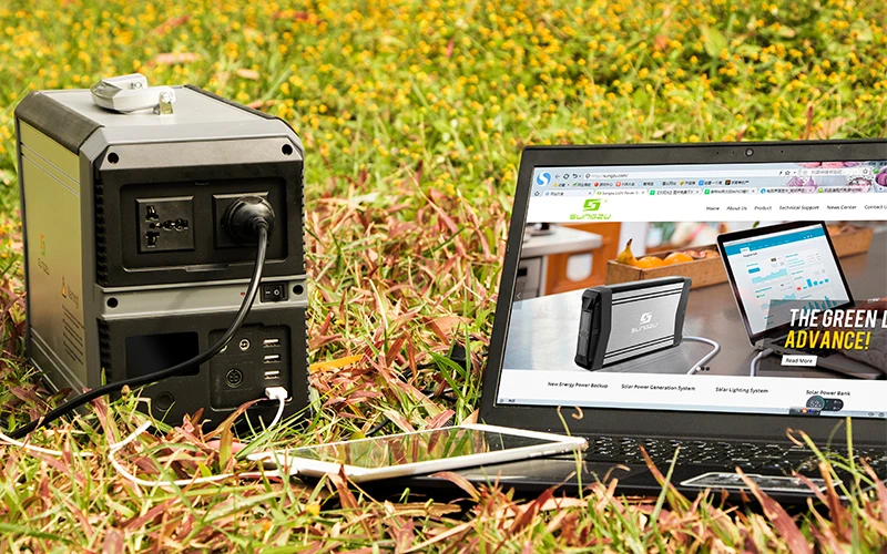 1000W Pure Sine Wave Portable 220V Battery Power Station AC and DC Outputs