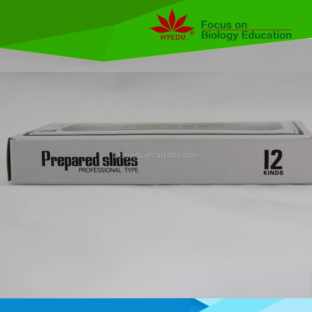 Plastic Microscope Prepared Slides Educational Science Toys Your Best Choice for Teaching Aids of 12pcs Plant Flower for Kids Ce