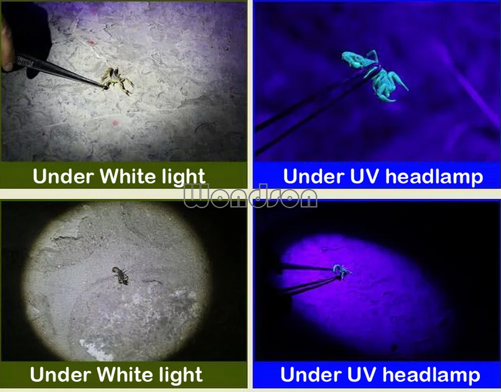 Dual LEDs Rechargeable Headlamps Zoomable Adjustable Focus UV Headlight