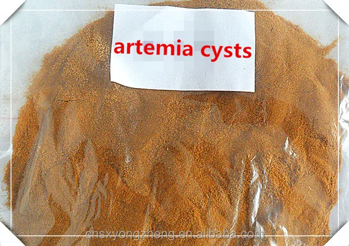 
Fish Feed Dried Artemia Cysts;Brine Shrimp Eggs of Fish Food 