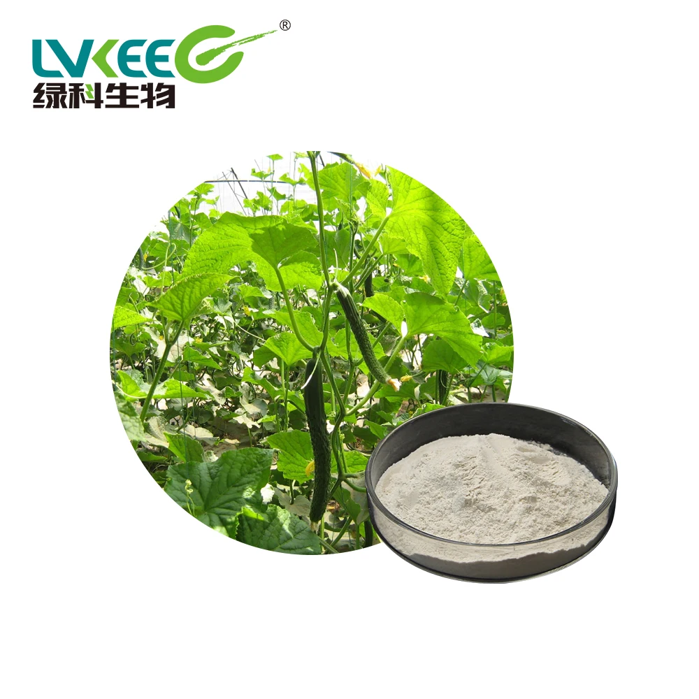 Organic Bio Fertilizer 20 billion cfu/g Bacillus Licheniformis for Agriculture