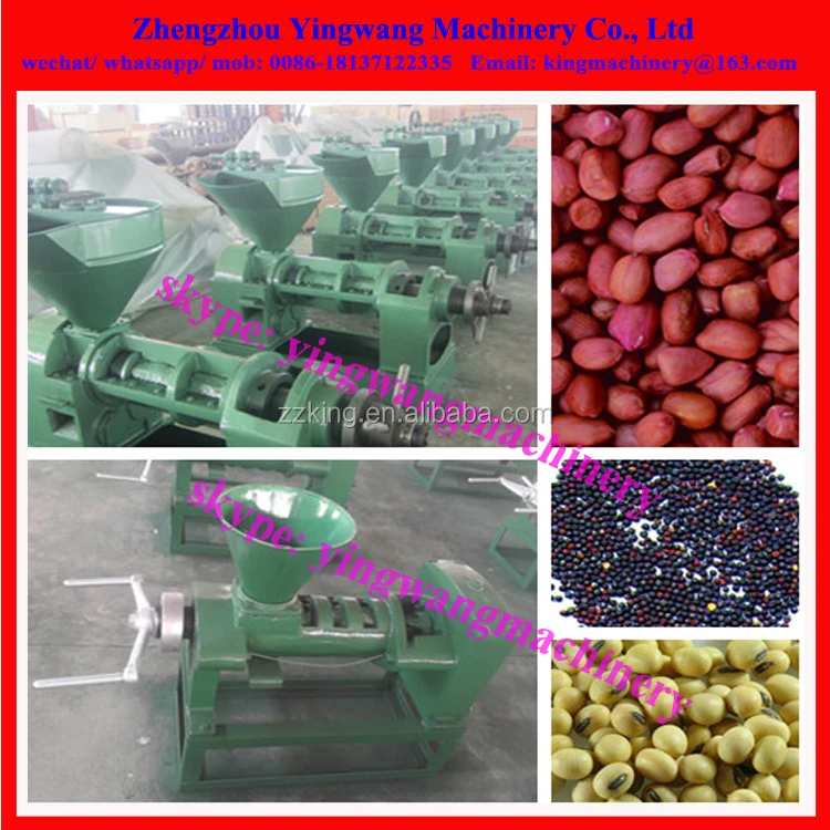 Hemp grape seed oil moringa seed press machine /walnut oil extracting pressing machine