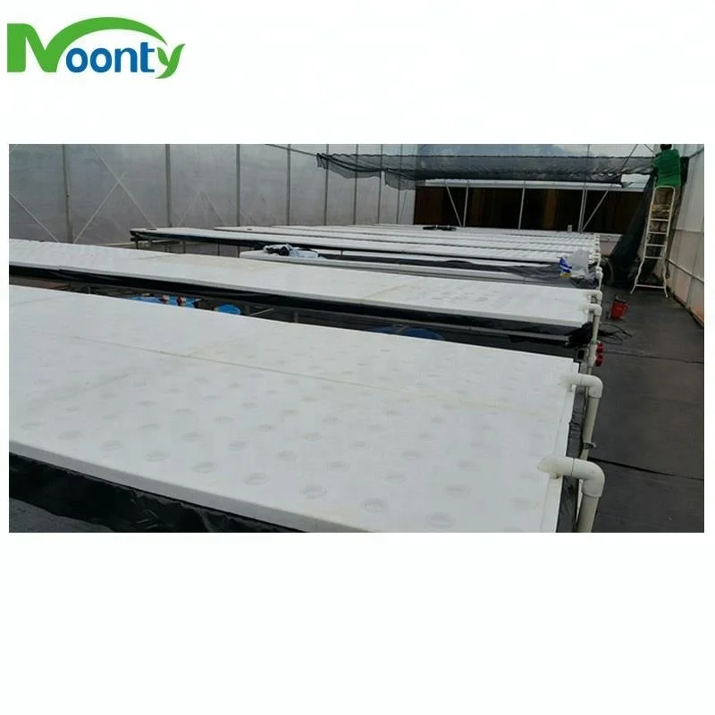Greenhouse Soilless Planting DFT Hydroponics Growing System Aquaponics Farm