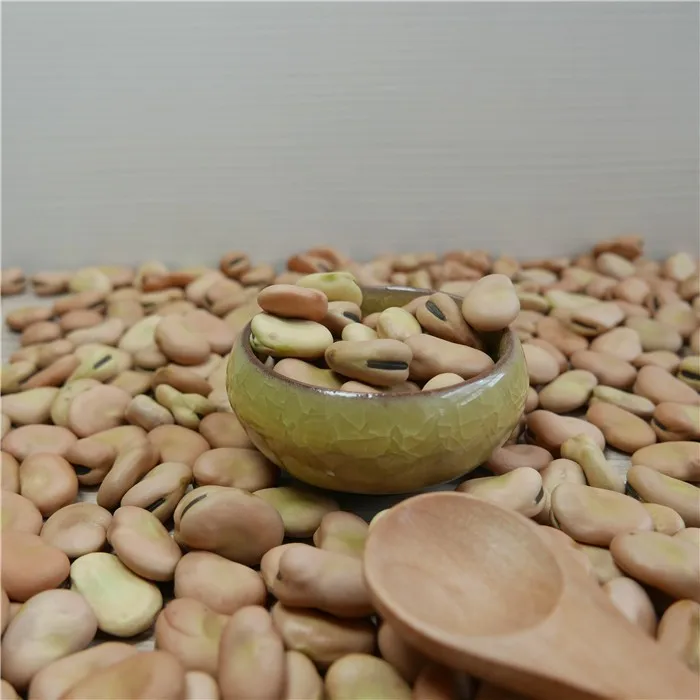 
high quality dry Broad Bean fava bean faba bean 